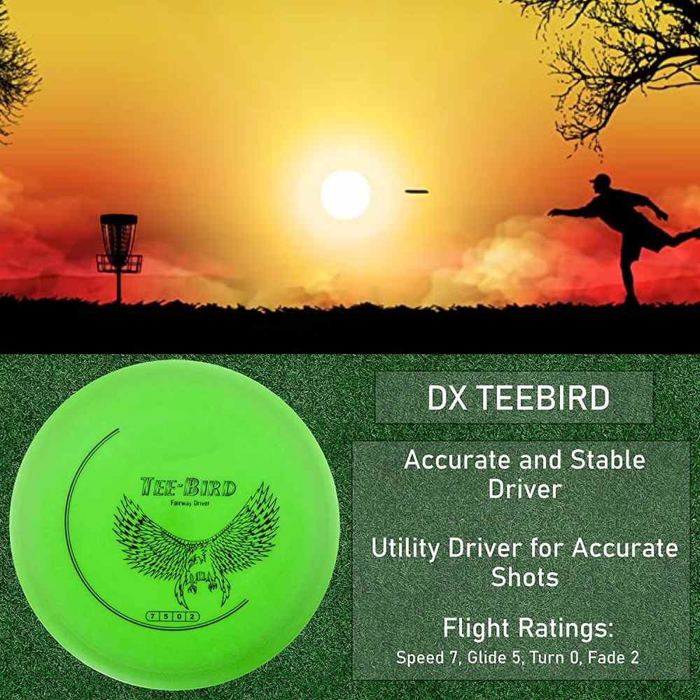 Disc Golf Set: image 9